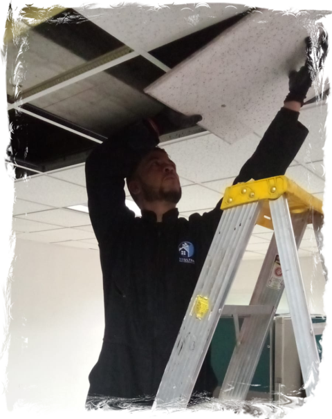 Reparaciones locativas pintura pisos locativas instalaciones