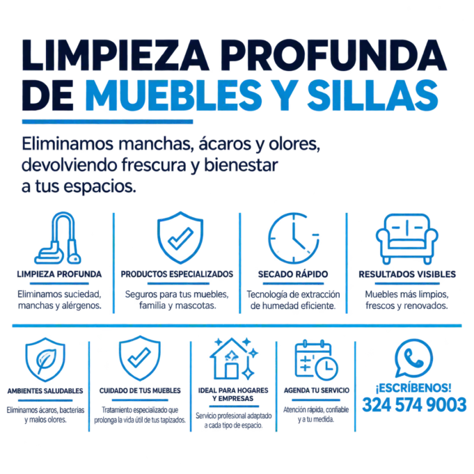 Lavado y limpieza de muebles, sofas, sillas, tapetes, silleteria vehiculos y otros